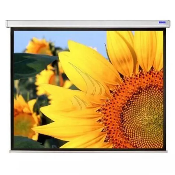 Màn chiếu Treo Dalite P70WS 100 Inch