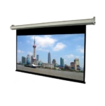 Màn chiếu điện Dalite PW250ES (5.10 m x 3.8 m)