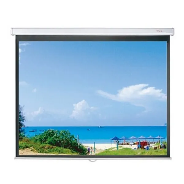 Màn chiếu Treo Dalite PL170WS 170Inch