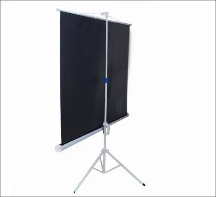 Màn chiếu chân Dalite P80TS (2m03 x 2m03)