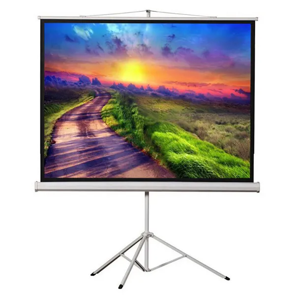 Màn chiếu chân Dalite P80TS (2m03 x 2m03)