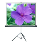 Màn chiếu Chân Grandview PT-H84x84WM 120 Inch