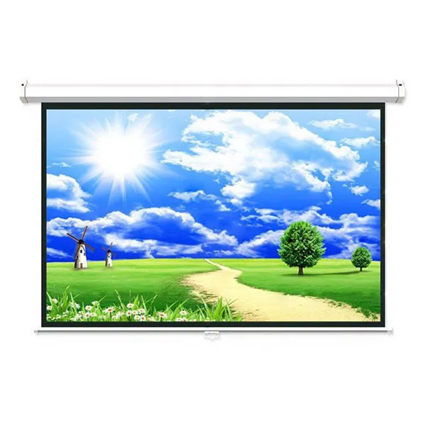 Màn chiếu Treo Dalite P80WS 113 Inch